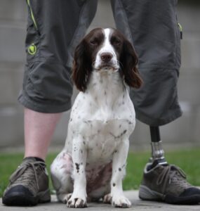 Veteran and dog